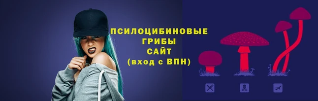 герыч Волоколамск